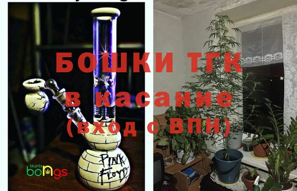 гашик Богданович
