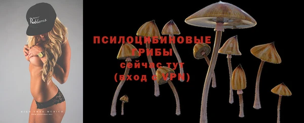 кокаин премиум Богородицк