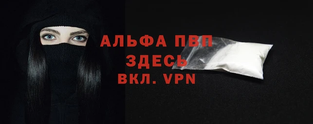 гашик Богданович