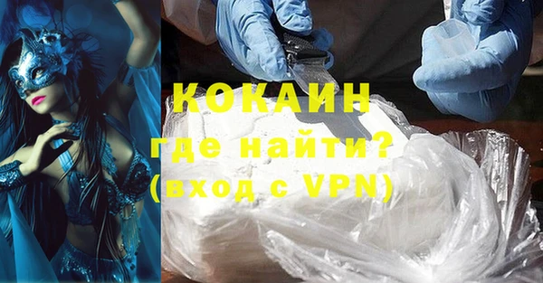 гашик Богданович