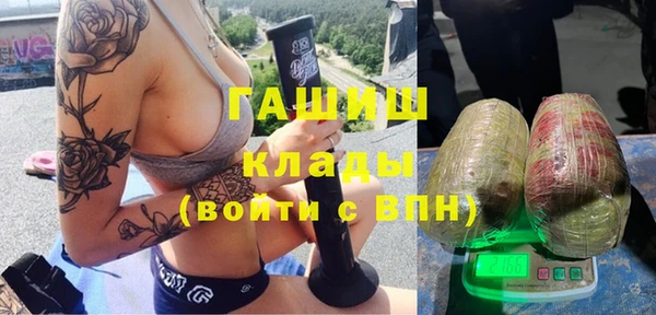 гашик Богданович