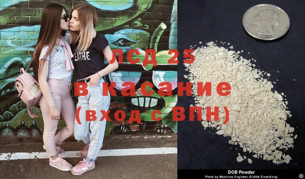 гашик Богданович
