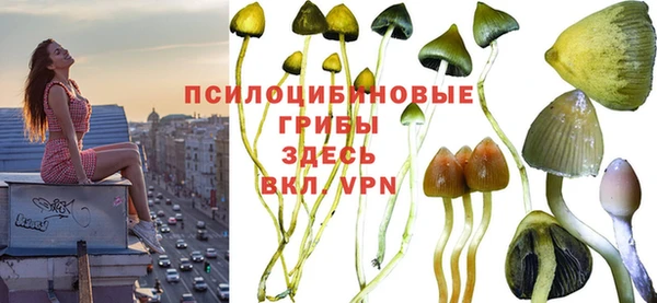 кокаин премиум Богородицк