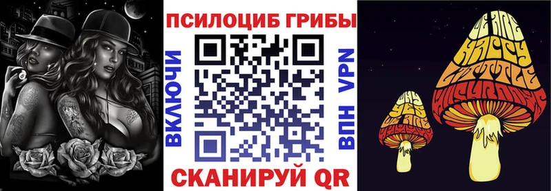 даркнет клад  Северо-Курильск  Псилоцибиновые грибы Cubensis  мега онион 